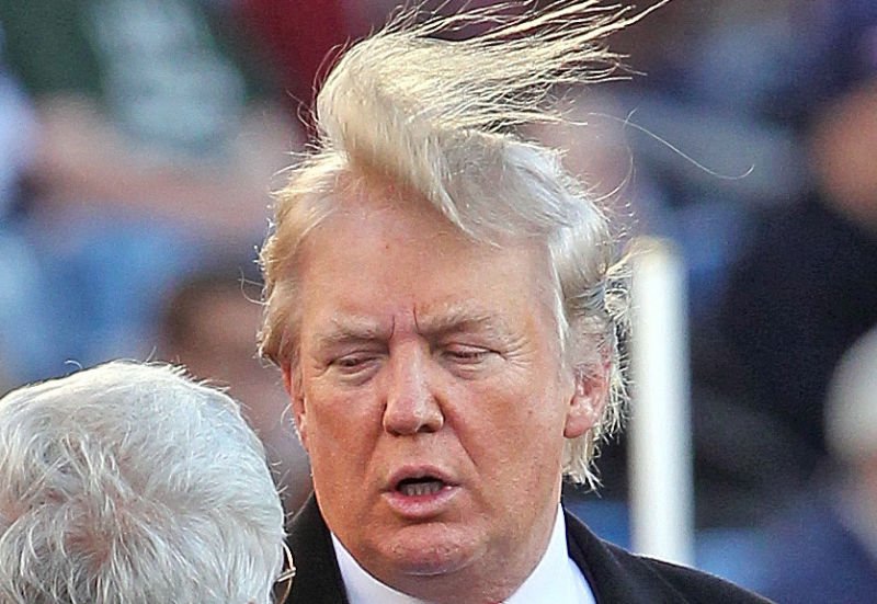 donald-trump-toupee